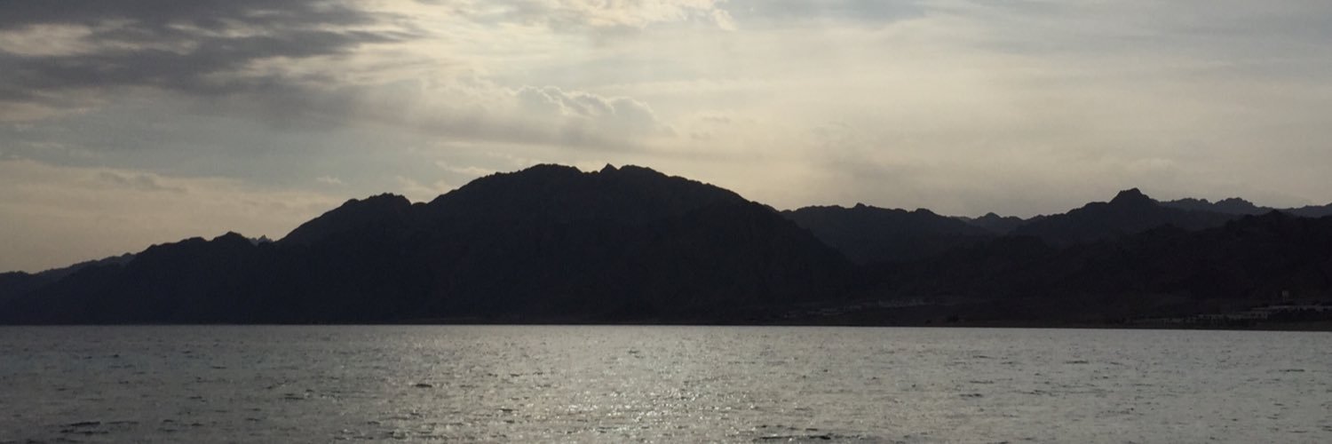 tlasheen's profile banner image