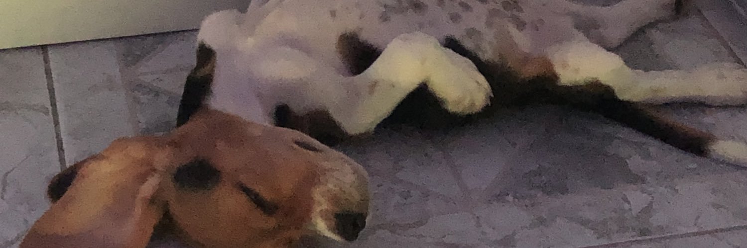 Yaneeey_'s profile banner image