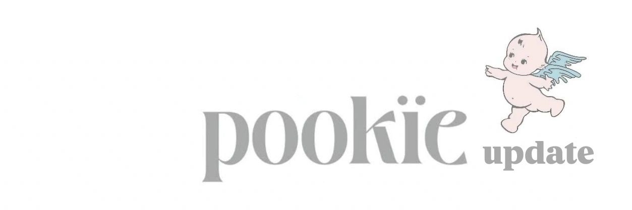 pookieupdate's profile banner image