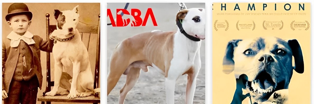 HollandAPBT's profile banner image