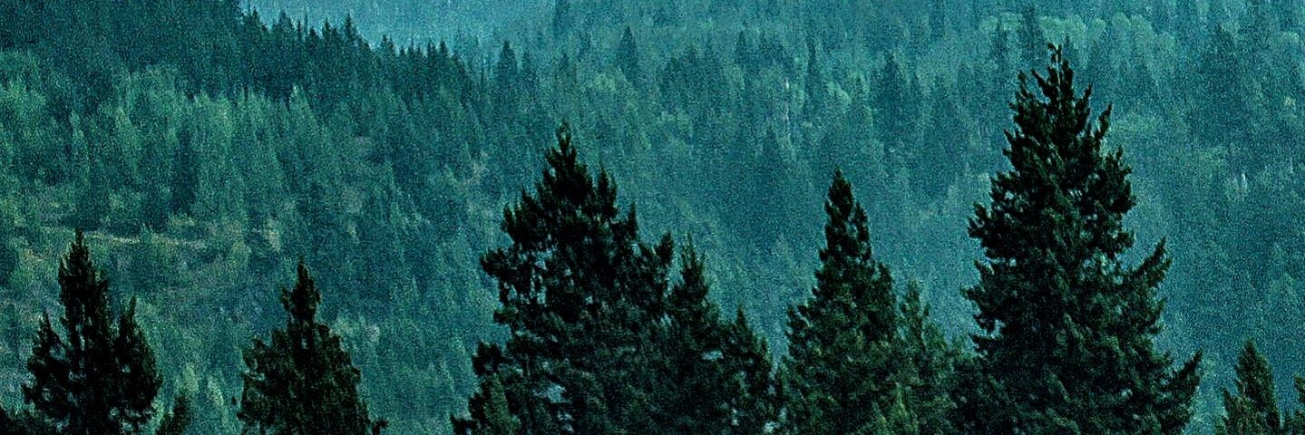 iquer119's profile banner image