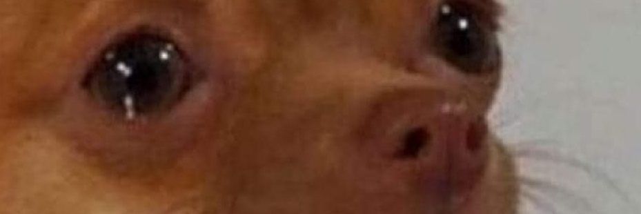 NotZachTerrell's profile banner image