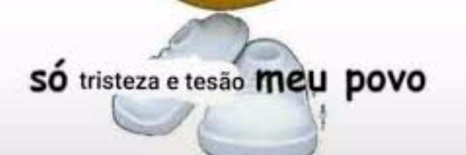 pmzinho banner