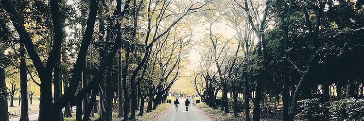 じーく/ZIIK banner