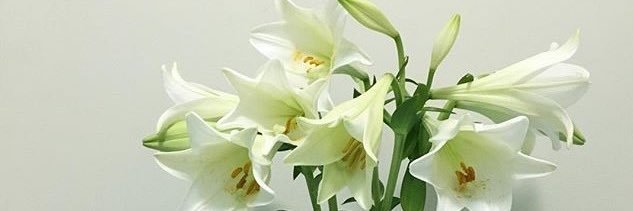 karhateu's profile banner image
