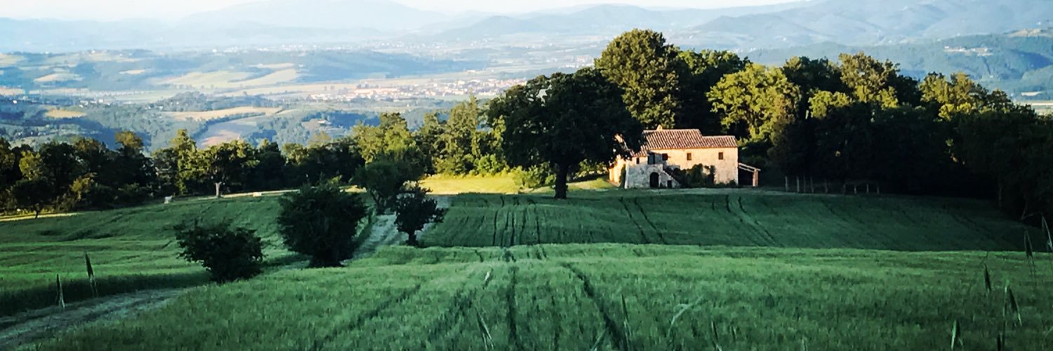 Stefano_Caon's profile banner image