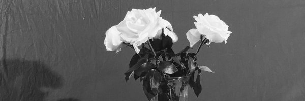 hifabi91 Profile Banner