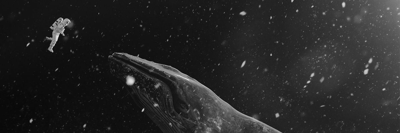 derr_nb02's profile banner image