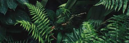 amelsg's profile banner image