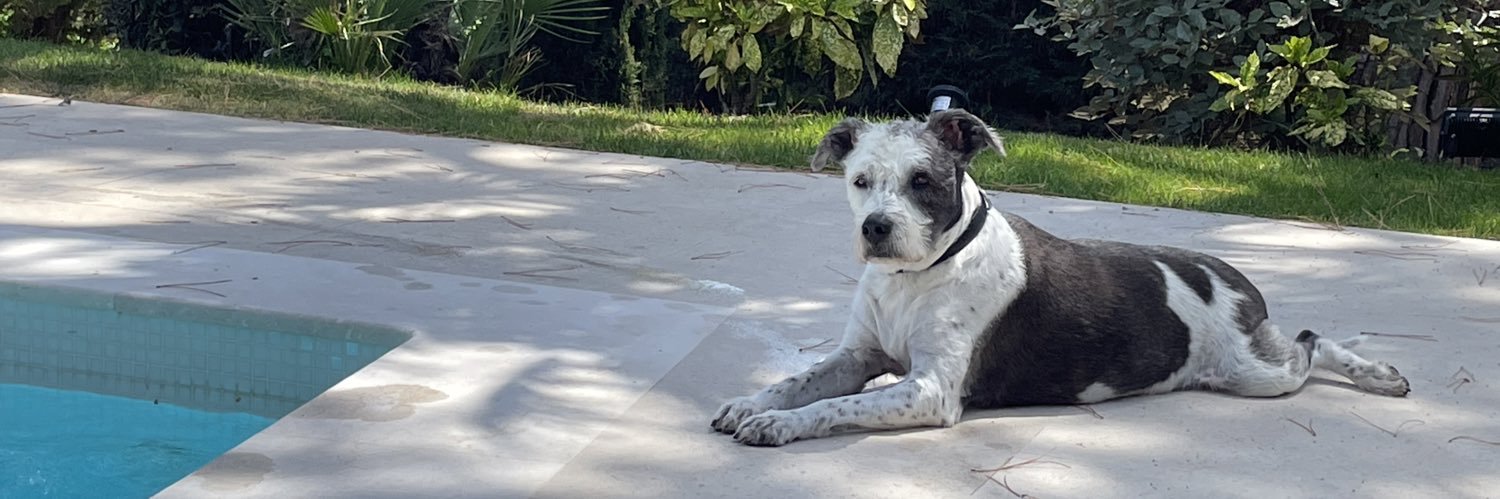 ((( isabelle ))) banner