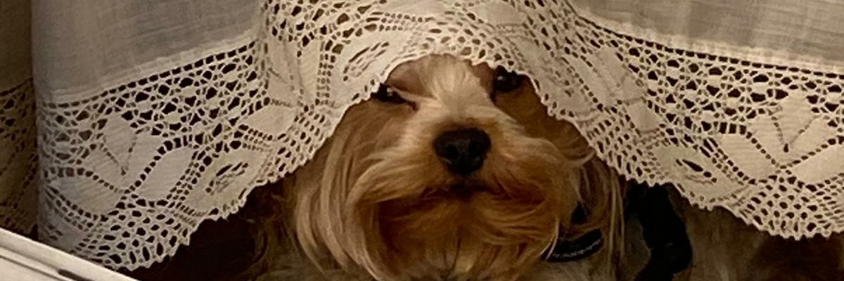 emanuelcoach's profile banner image