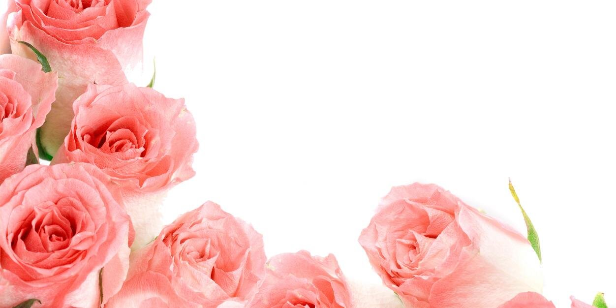 jcak's profile banner image