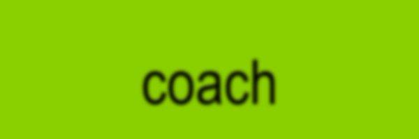 coachbear Profile Banner