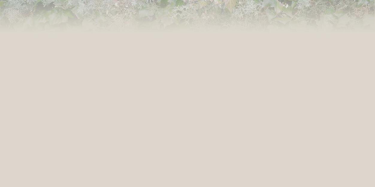 kyon7's profile banner image
