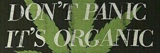 LauraLopez_8's profile banner image