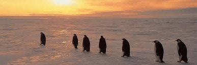 Linux Tutorials banner