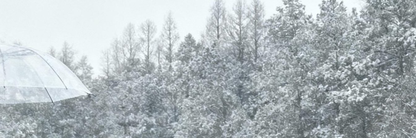 Provisional_set's profile banner image