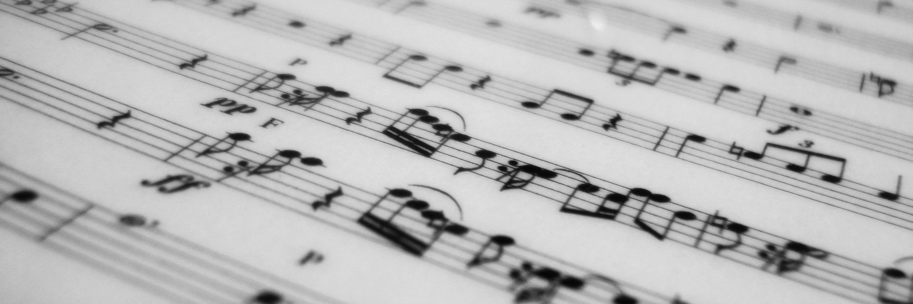 BeatrixconX's profile banner image