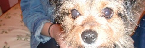 cristimugue's profile banner image