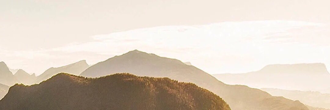 bbdwolf's profile banner image