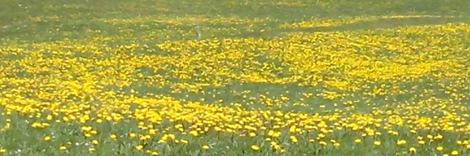 Katrin Praprotnik banner