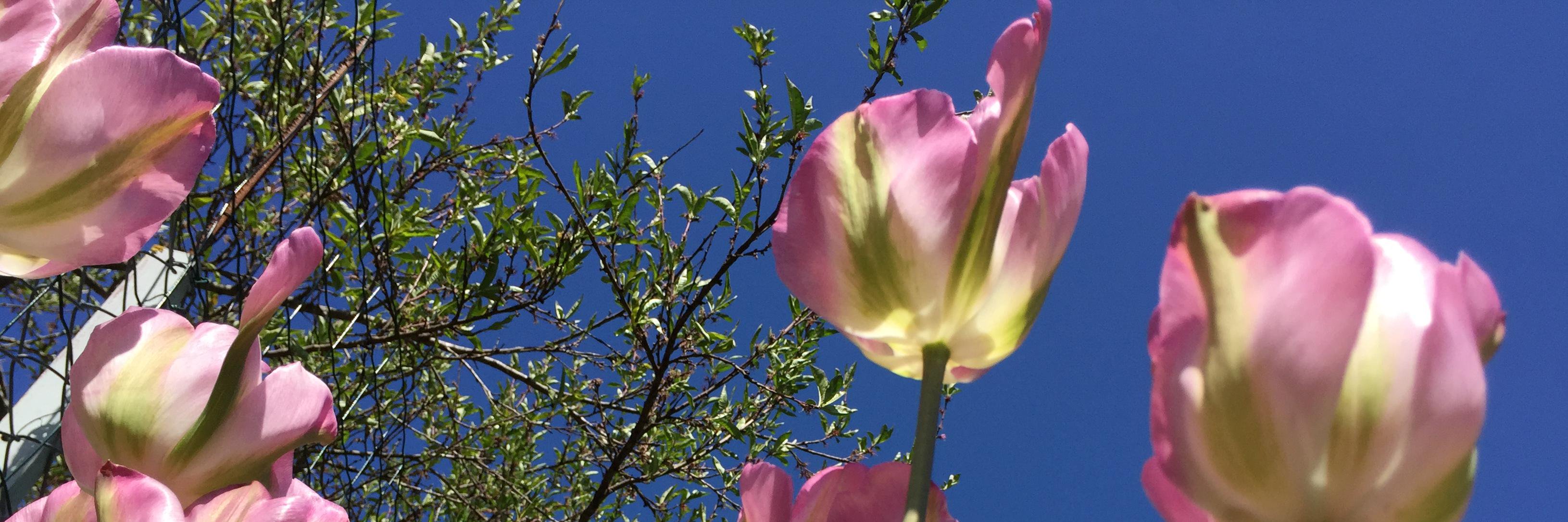 sandra_kuchen's profile banner image