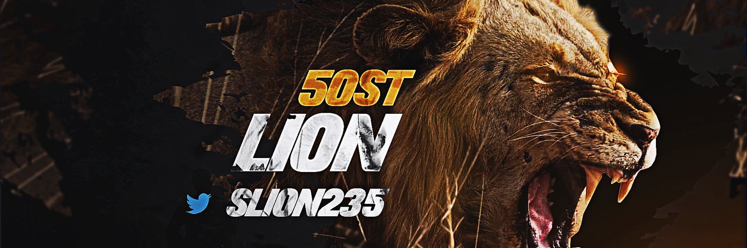 SLion235's profile banner image