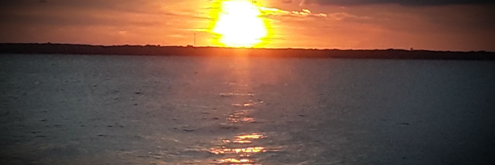 Janet Bourget banner