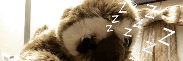 edelfaultier's profile banner image