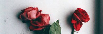 GMR_DHS's profile banner image