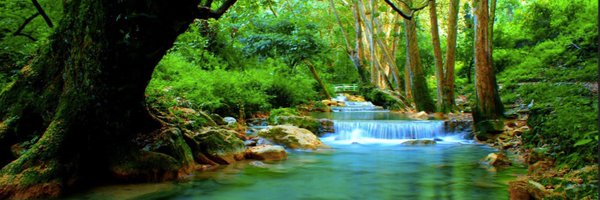 SNelson1111 Profile Banner