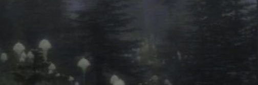 bl0odymari's profile banner image