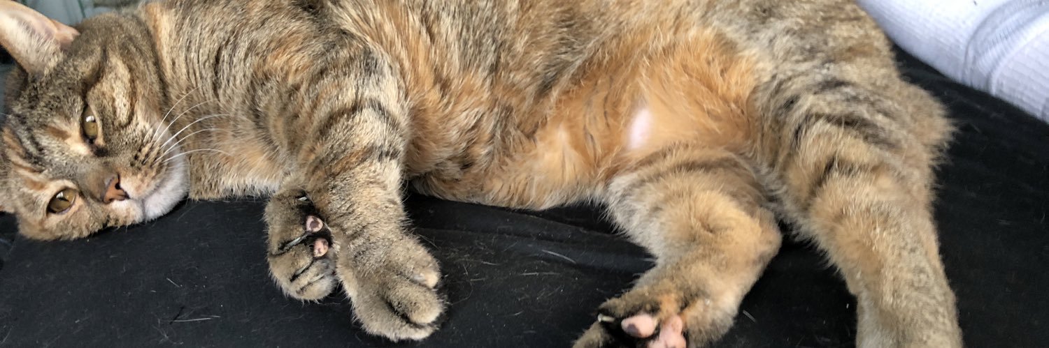 Turing Machine banner