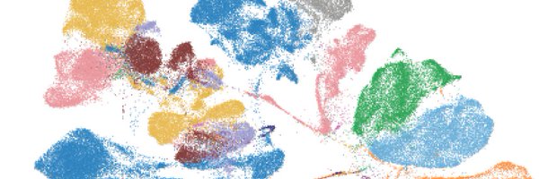 drAOPisco Profile Banner