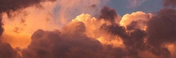 carpedz3m Profile Banner