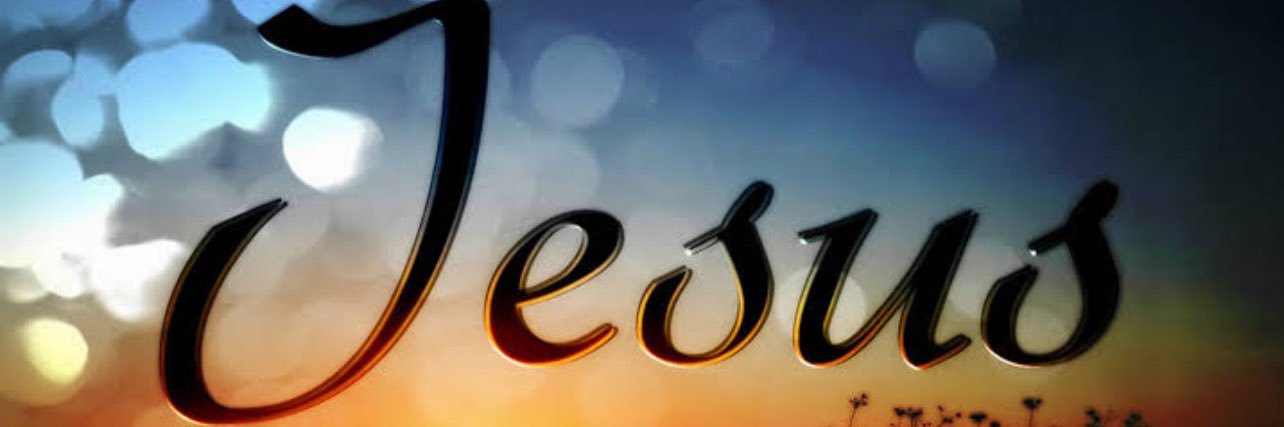 TracySteyn's profile banner image
