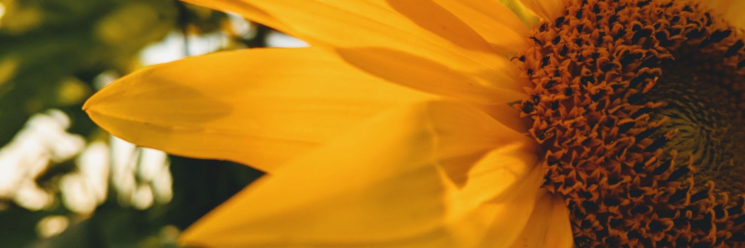 jenna_leanne_'s profile banner image