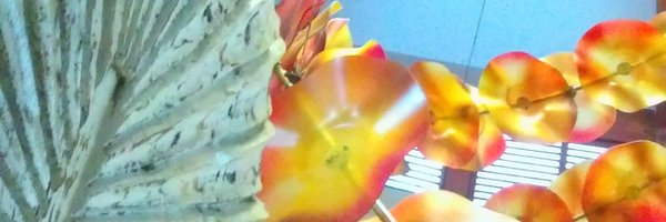 sweettweetybe Profile Banner