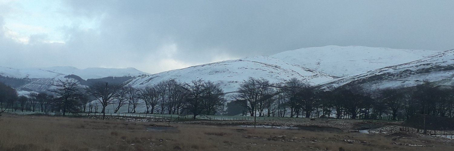 MisterG 🏴󠁧󠁢󠁷󠁬󠁳󠁿 🏳️‍🌈🇺🇦 banner