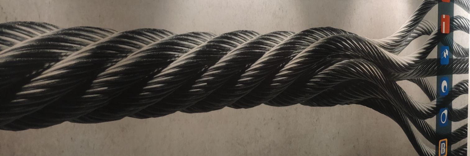 SFischerBRZ's profile banner image