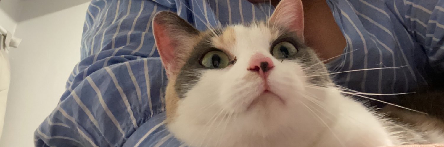 ColeenPcrd's profile banner image