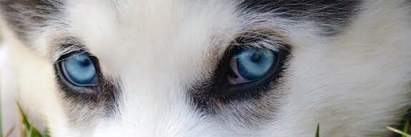 Masithah Meilia R banner