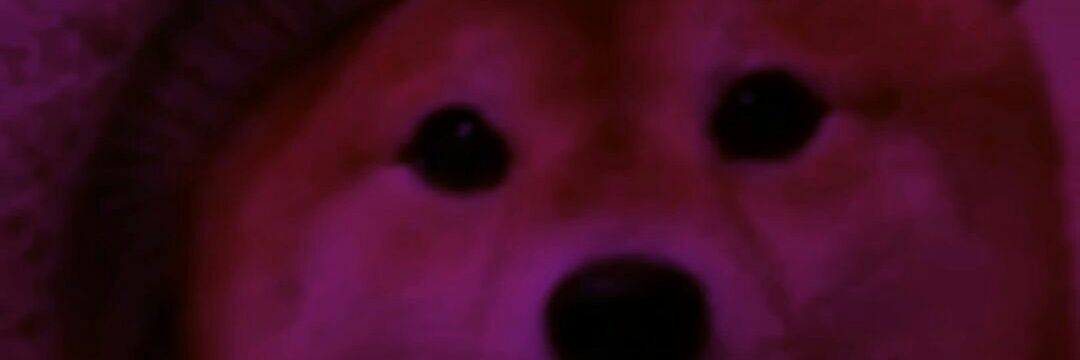 ccbaytxn's profile banner image