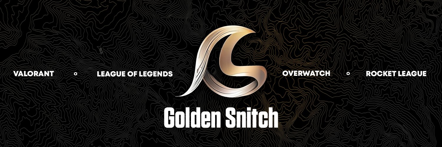 GOLDEN SNITCH banner