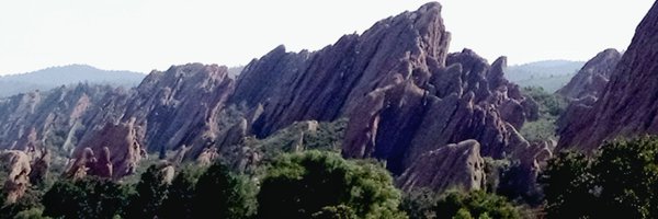 ShelWPeterson Profile Banner