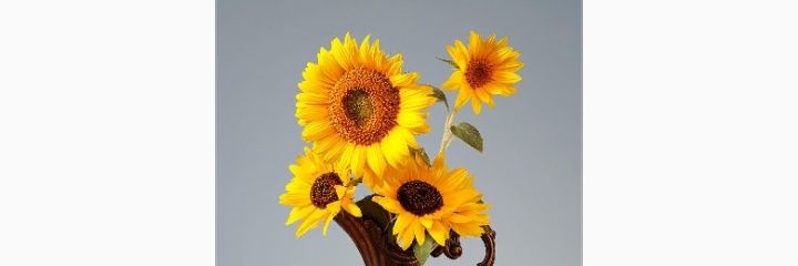 Goitsi__m's profile banner image