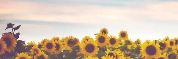 memxries__'s profile banner image