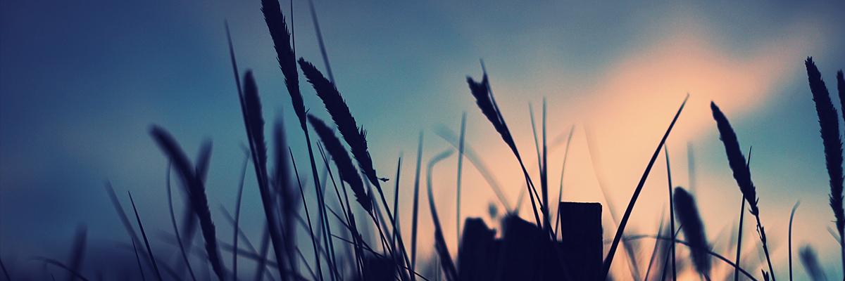 joyyy97's profile banner image