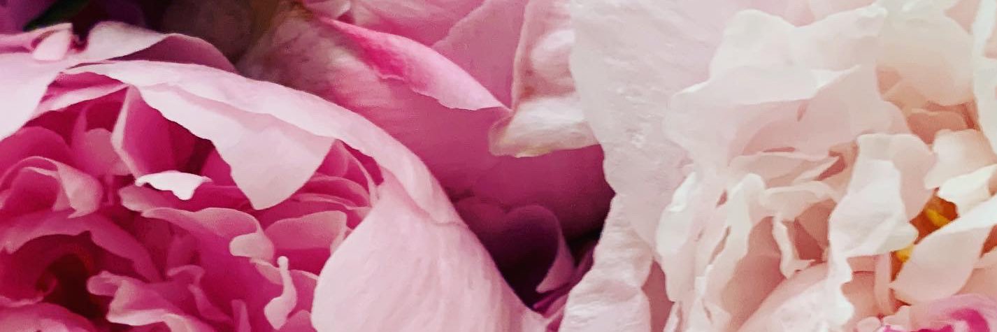 Constance Rowell banner