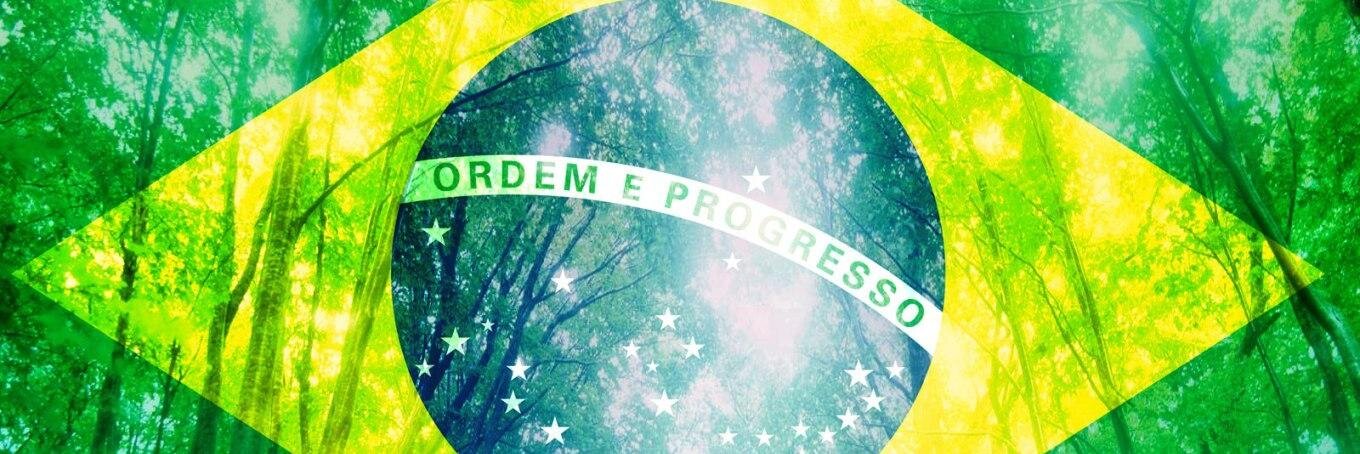 guilherme_alvim's profile banner image